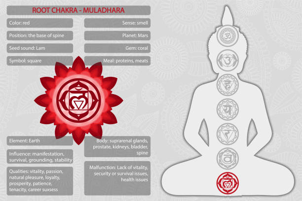 Baddha Padmasana’s Benefits
